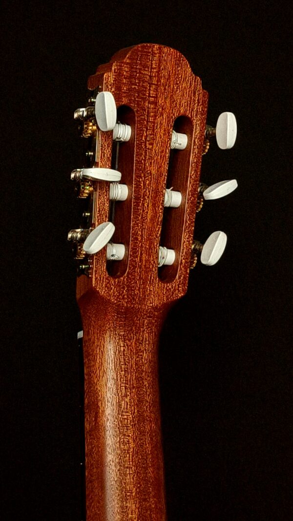 Swedtone Carina - Reserverad - Bild 5