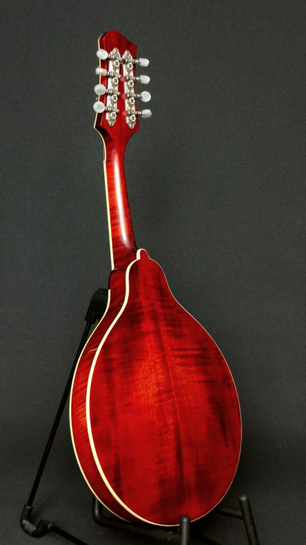 Eastman MD 604 LA mandolin - ca 2014 - Bild 3