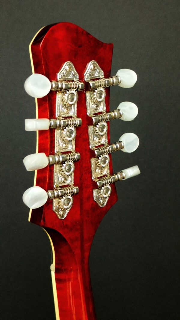 Eastman MD 604 LA mandolin - ca 2014 - Bild 5