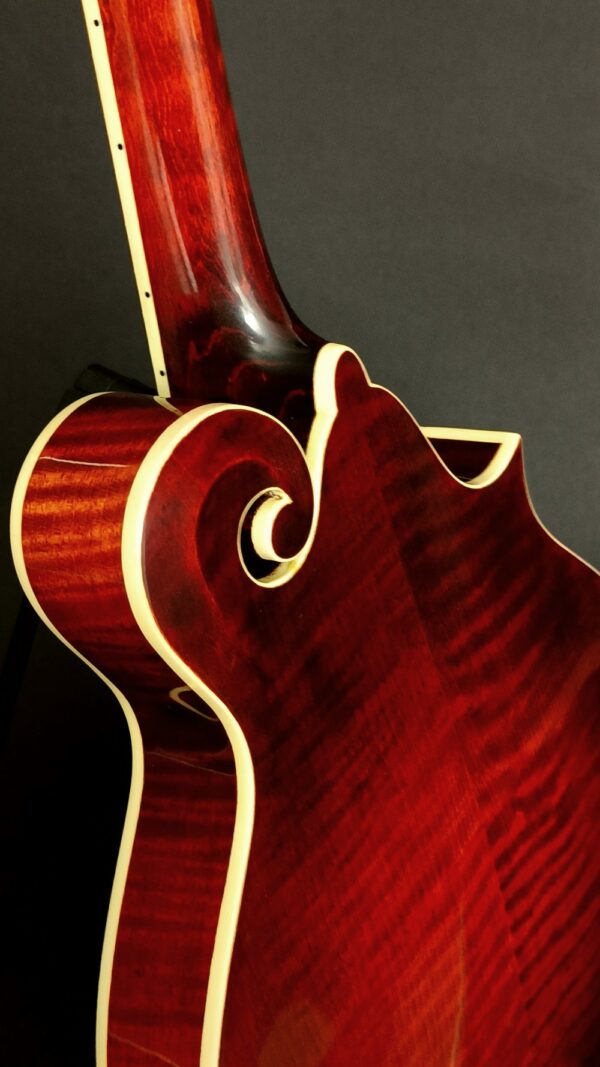 Eastman MD615 L Vänsterhänt mandolin - ca 2016 - Bild 5