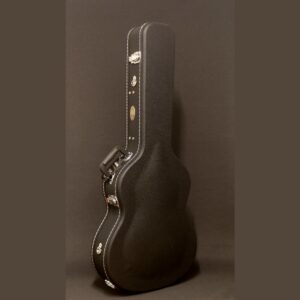 Gewa etui c11