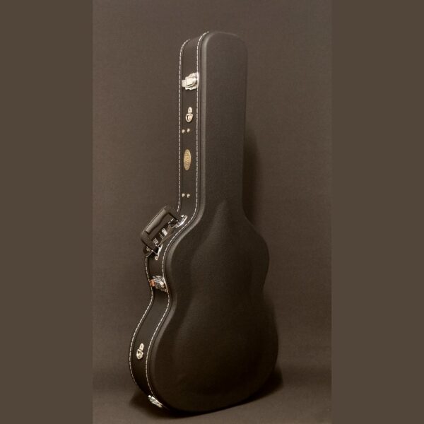 Gewa etui c11