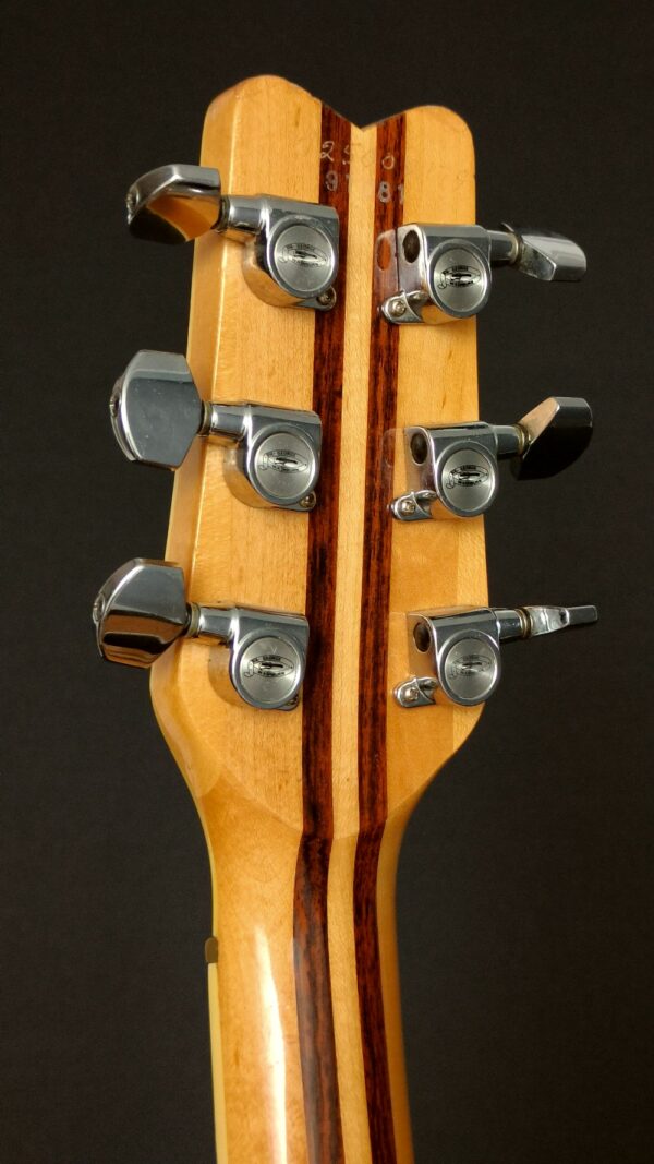 Washburn Falcon - 1979 - Bild 5