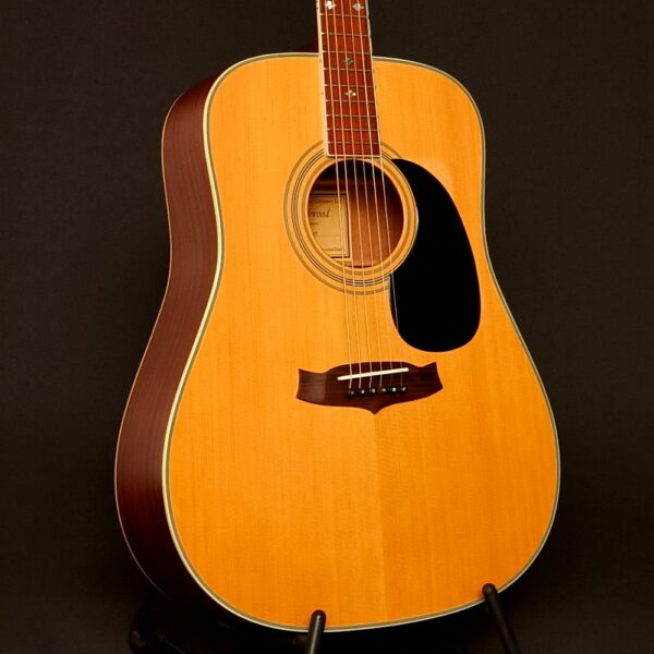 Tanglewood TW15NS