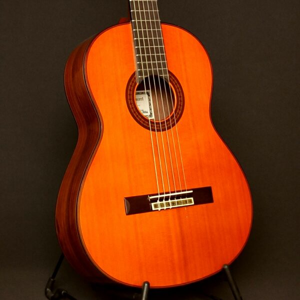 Yamaha GC-10