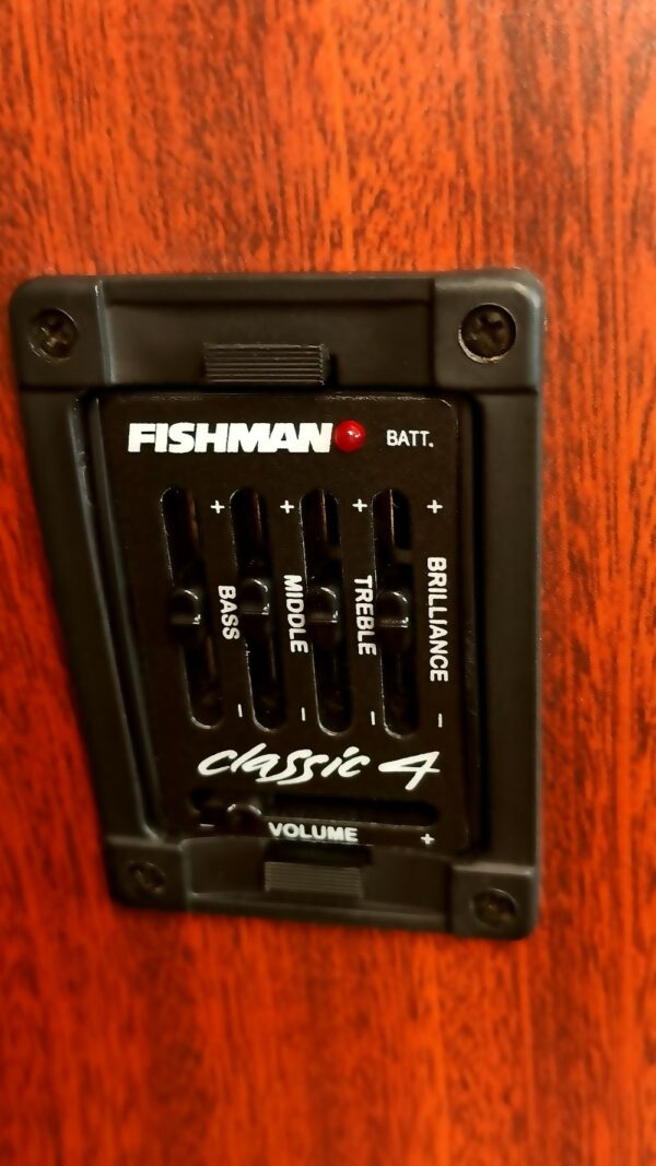 Martin DX1 - 2009 - Fishman pickup - Bild 6