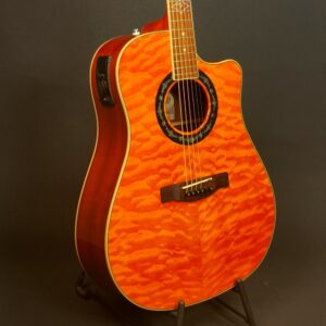 Fender T-Bucket 300 CE