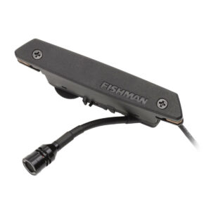 Fishman Rare Earth Mic blend