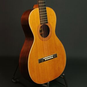 Washburn 111