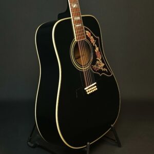 Ibanez F-302BK