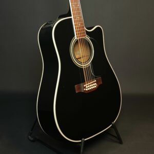 Takamine EF-381SC