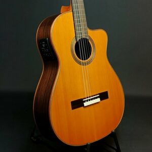 Cordoba Fusion Orchestra CE